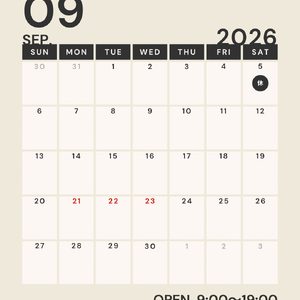 カラフル　シンプル　2026年　1月〜12月　カレンダー 月間　スケジュール　 Instagram投稿(45)